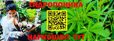 марки nbome Бердск
