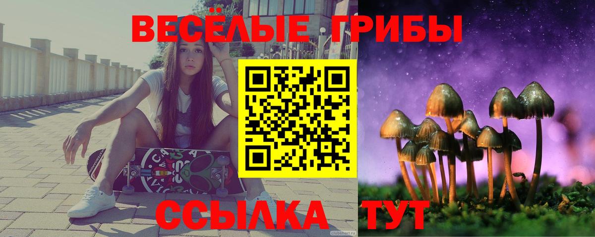 Благодарный  Псилоцибиновые грибы MAGIC MUSHROOMS  Вход с VPN 